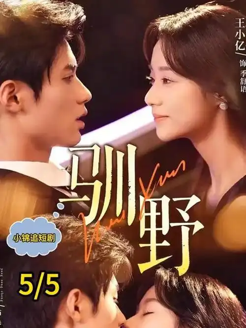 沉默的证词刑侦剧全集高清在线观看